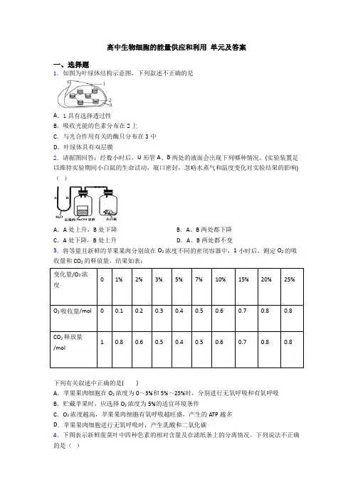高中生物细胞的能量供应和利用 单元及答案