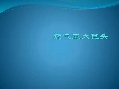 中国燃气五大集团概况
