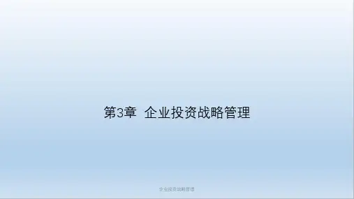 企业投资战略管理课件