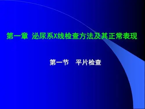 泌尿系统X线诊断