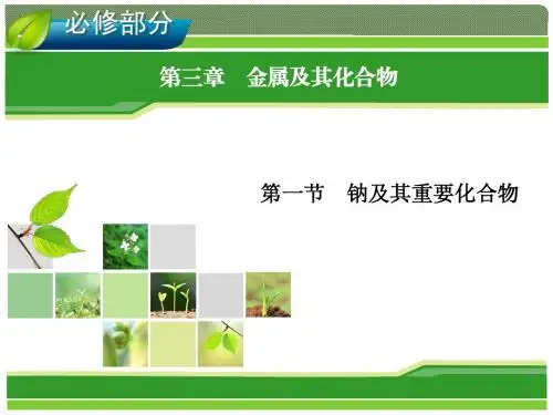 2014年高考一轮化学(人教版)：第3章 金属及其化合物 第1节