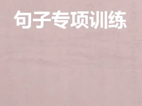 小学语文句子专项训练ppt课件