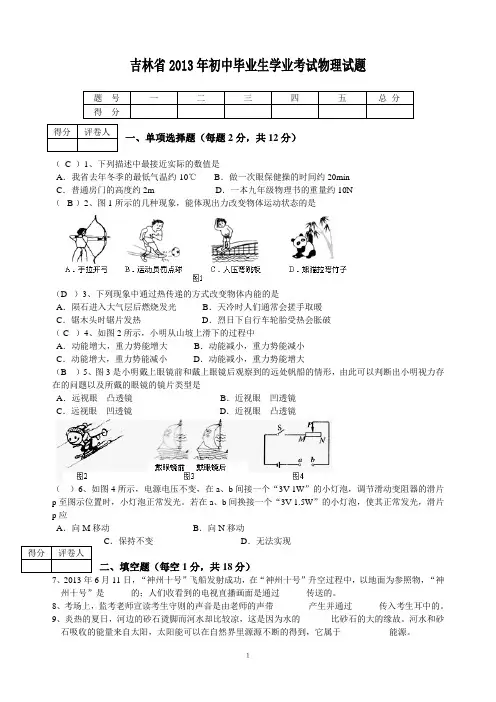 2013年吉林省中考物理试题(word含答案)