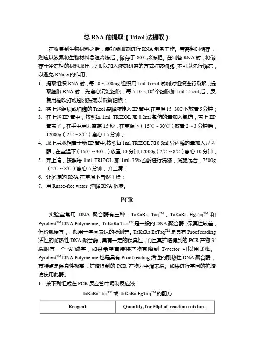 总RNA的提取及相关实验方法