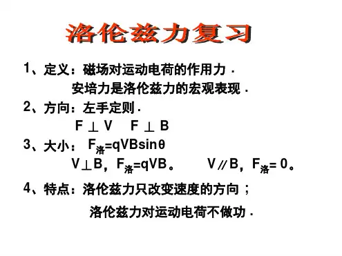 56洛伦兹力与现代科技