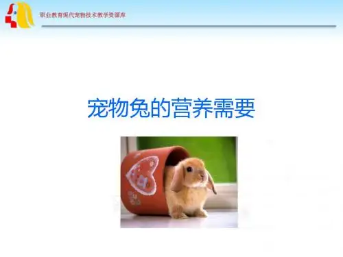 宠物兔的营养需要(精)