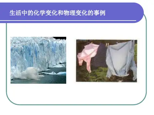 生活中的化学变化和物理变化的事例