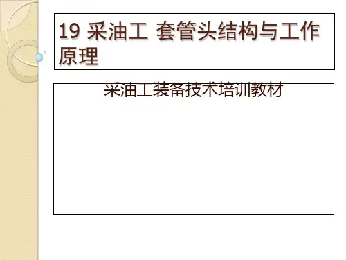19 采油工 套管头结构与工作原理