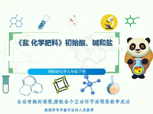 湘教版化学九年级下册《盐 化学肥料》初始酸、碱和盐
