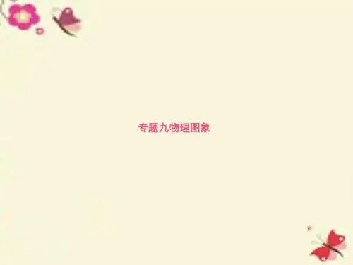 【志鸿 赢在高考】(新课标)2016届高考物理二轮复习 专题九 物理图象课件