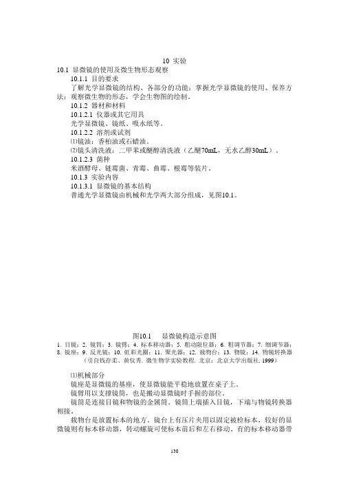 最新显微镜的使用及微生物形态观察