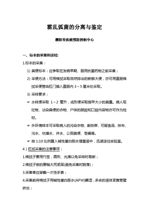 霍乱弧菌的分离与鉴定