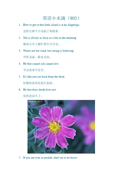 英语小水滴(902)