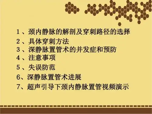 颈内静脉穿刺置管术