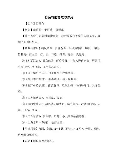 野菊花的功效与作用_0