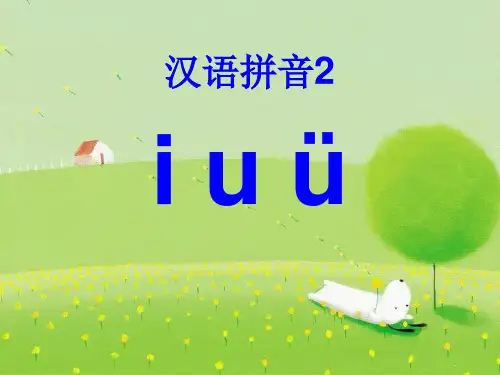 i u ü y w 优秀课件