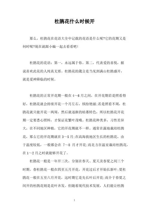 杜鹃花什么时候开