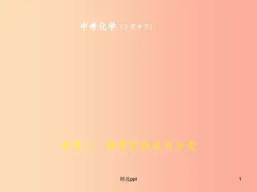 (全国版)201X年中考化学复习 专题八 物质的组成与分类(试卷部分)课件(1)