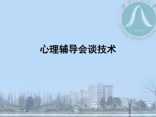 心理辅导会谈技术