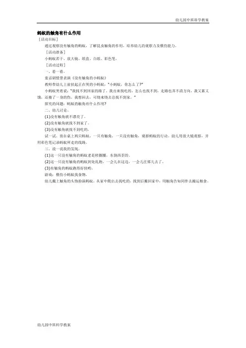 幼儿园中班科学教案：蚂蚁的触角有什么作用