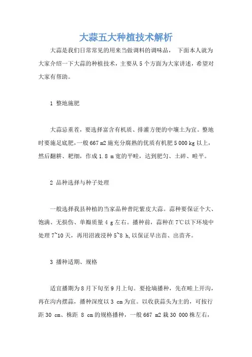 大蒜五大种植技术解析