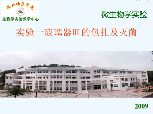 实验1__玻璃器皿包扎及灭菌