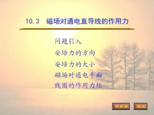 10.3 磁场对通电直导线的作用力_图文.ppt