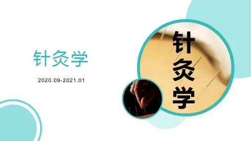 针灸学-经络总论