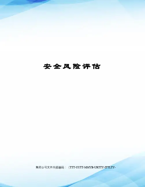 安全风险评估