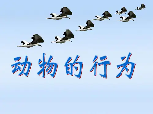 济南版七年级上册生物课件：2.2.4 动物的行为(共23页)
