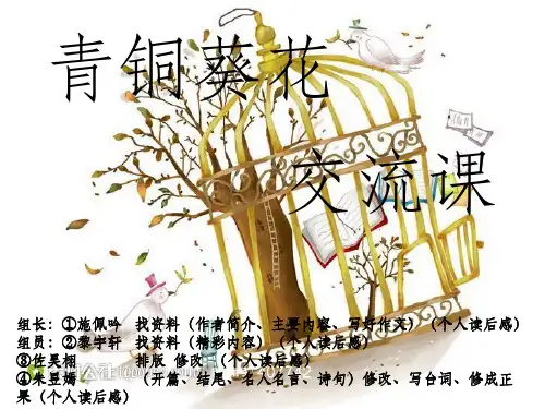 青铜葵花PPT