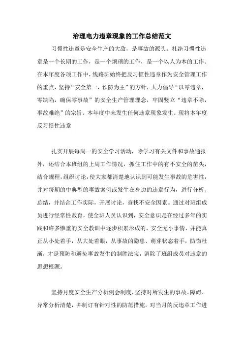 2020年治理电力违章现象的工作总结范文