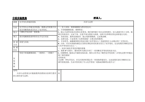 化学变化伴随的现象分组实验教案