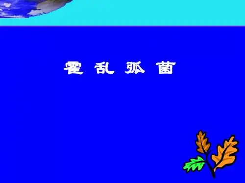 11.霍乱弧菌