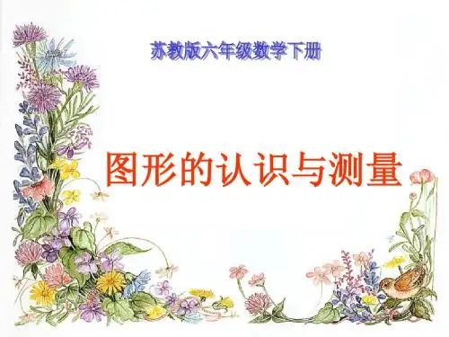 (苏教版)六年级数学下册课件 图形的认识和测量2013
