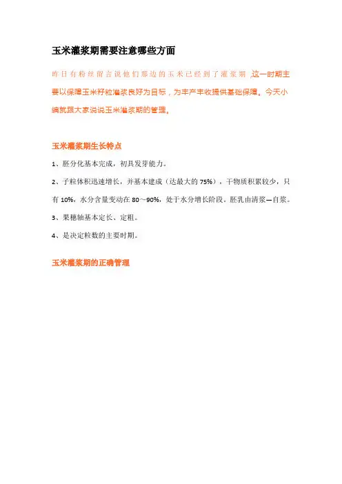 玉米灌浆期需要注意哪些方面