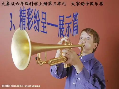 六年级科学上册3.3《精彩纷呈__展示篇》 优秀课件1大象版