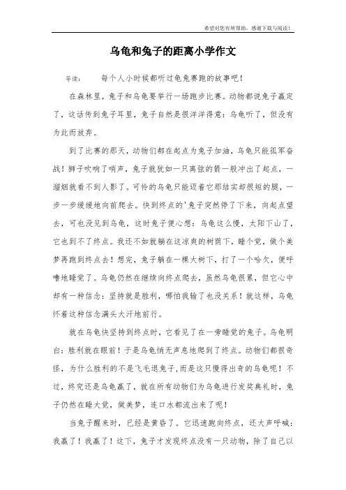 乌龟和兔子的距离小学作文