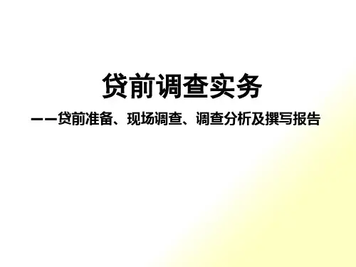 贷款业务现场调查