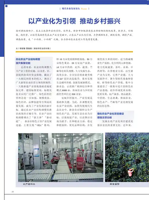 以产业化为引领推动乡村振兴