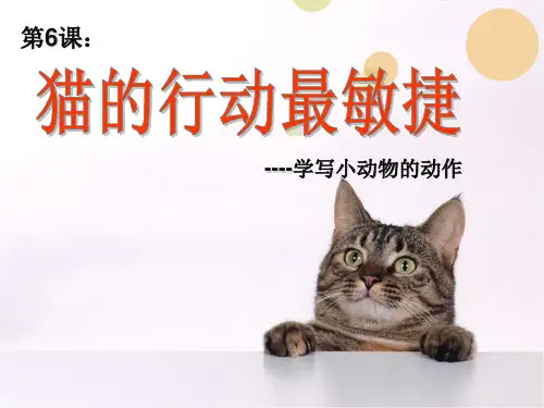 3.6猫的动作最敏捷