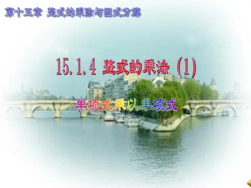 新人教版八年级上册15.1.4整式的乘法(1)单项式乘以单项式