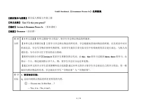 Unit3_SectionA(Grammar_Focus-3c)名师教案