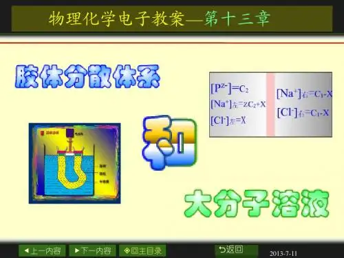 新13章_胶体与大分子溶液