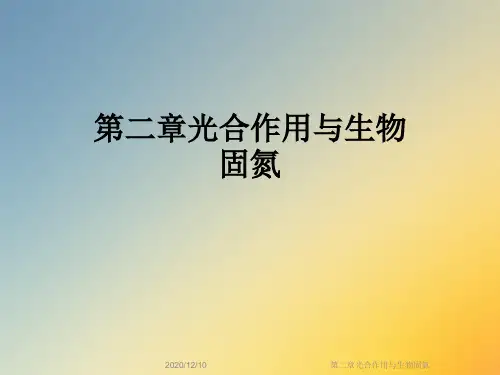 第二章光合作用与生物固氮