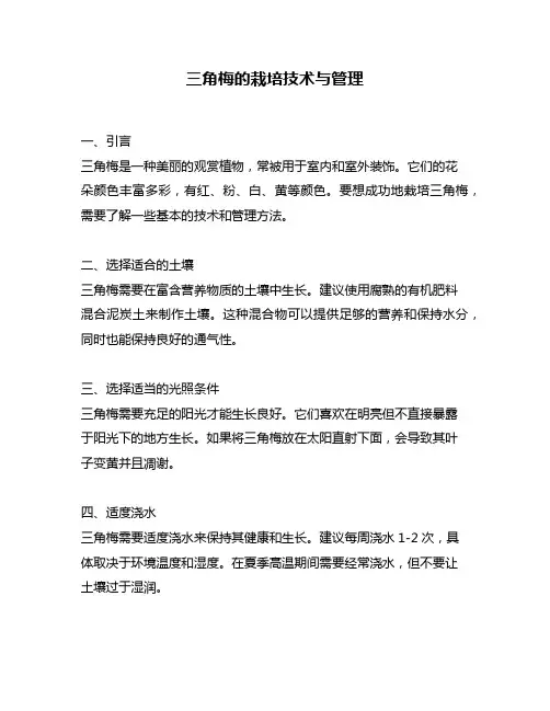 三角梅的栽培技术与管理