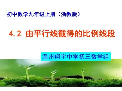 4.2由平行线截得的比例线段