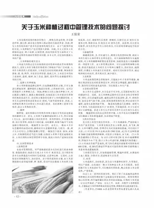 关于玉米种植过程中管理技术的问题探讨