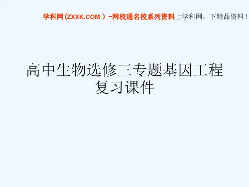 高中生物选修三专题基因工程复习课件[可修改版ppt]