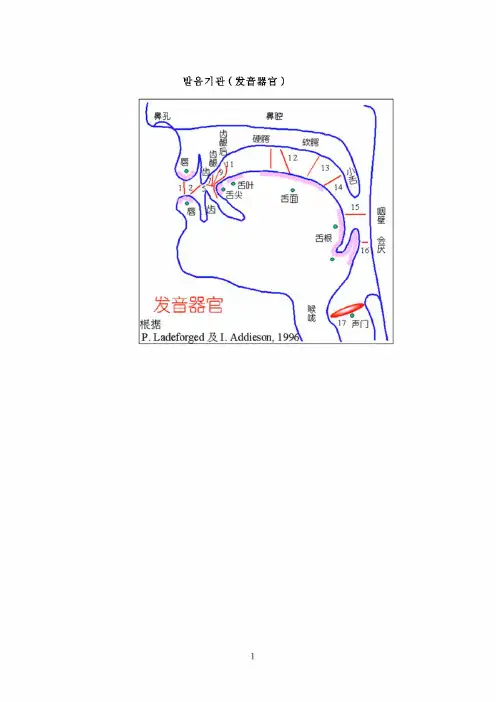 韩语(发音器官)
